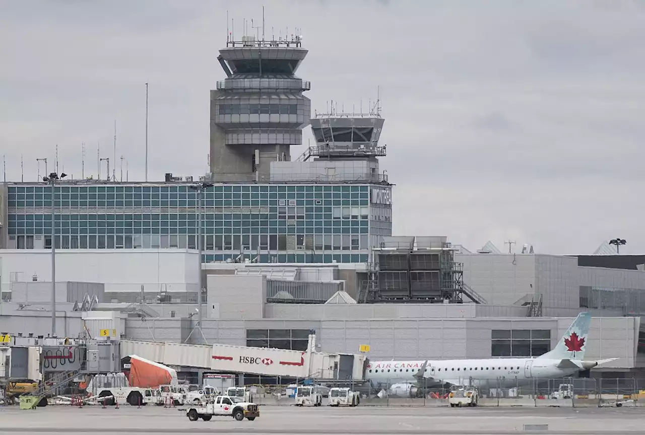 Montreal’s airport cracks down on picnickers at plane-spotting park over increased bird strike risk