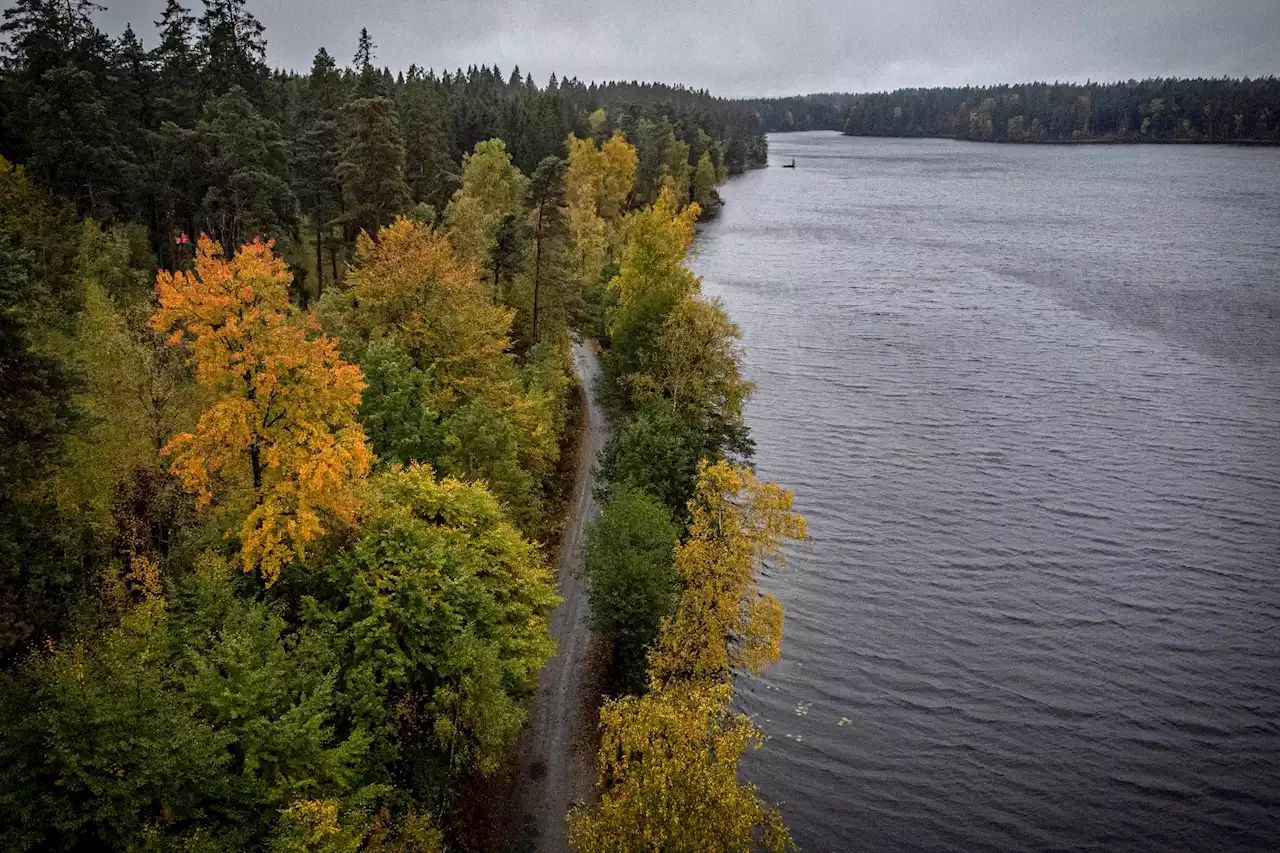 Man såg sig själv – på bild av död man i tidningen