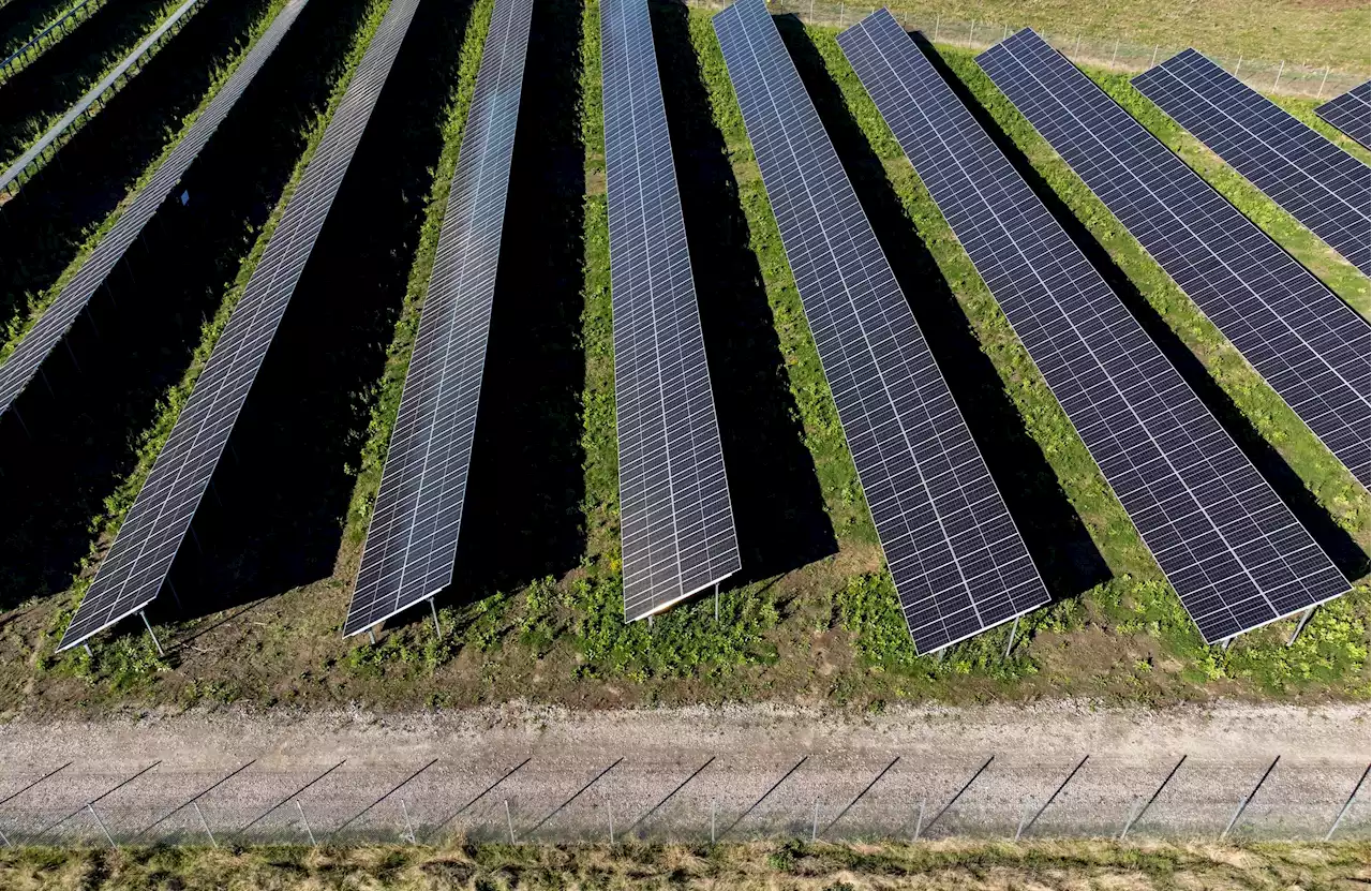 Hem vill förse Halmstad med solceller