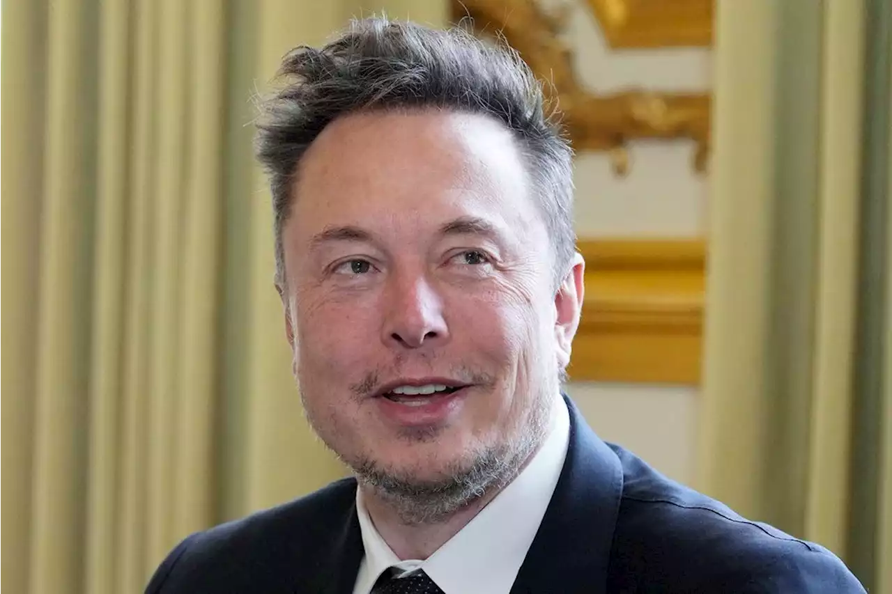 Elon Musk Celebrates Pride Month By Going On Anti-Trans Tweeting Spree