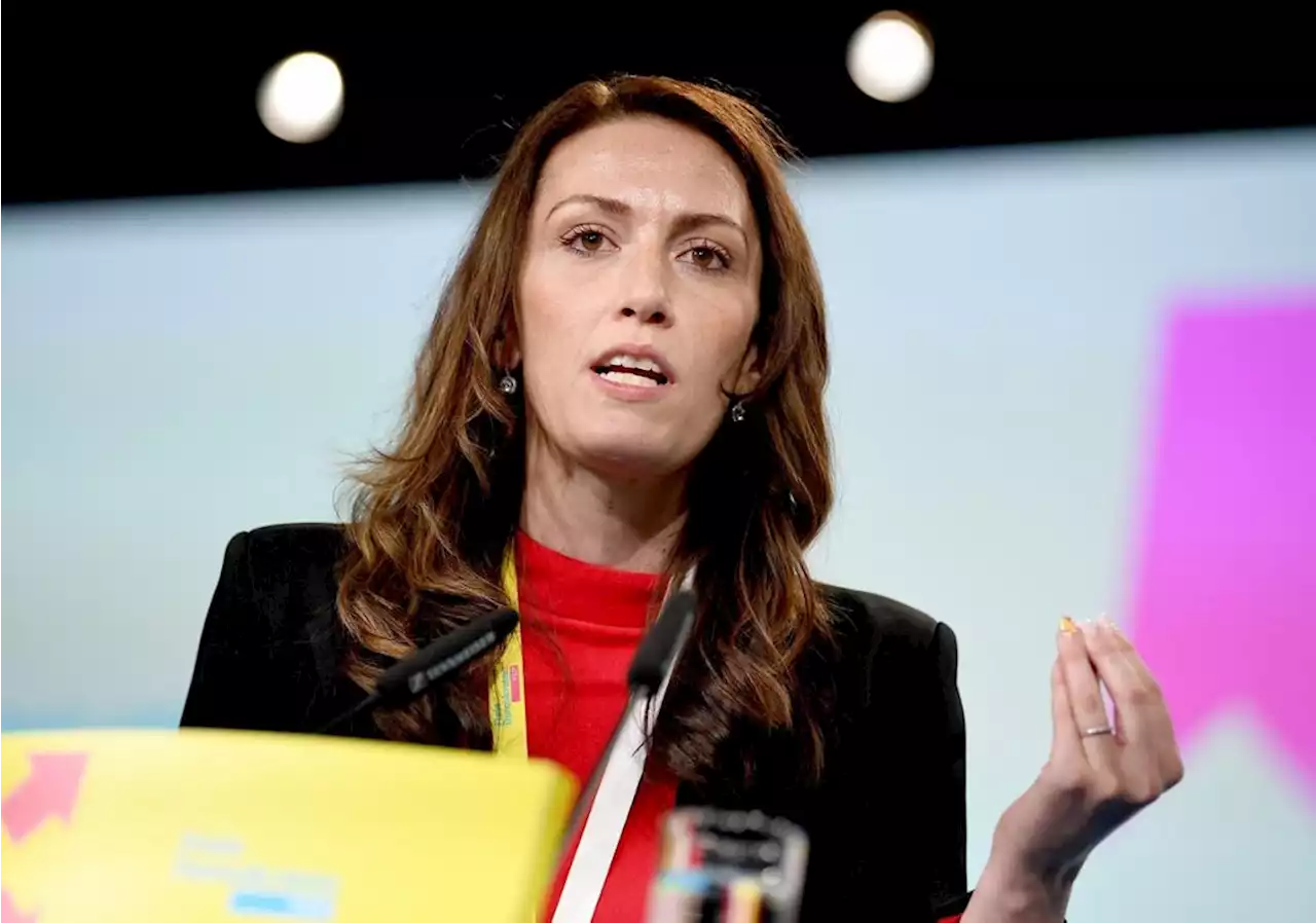 Nach Immunitätsverlust: FDP Niederbayern stellt sich hinter Nicole Bauer - idowa