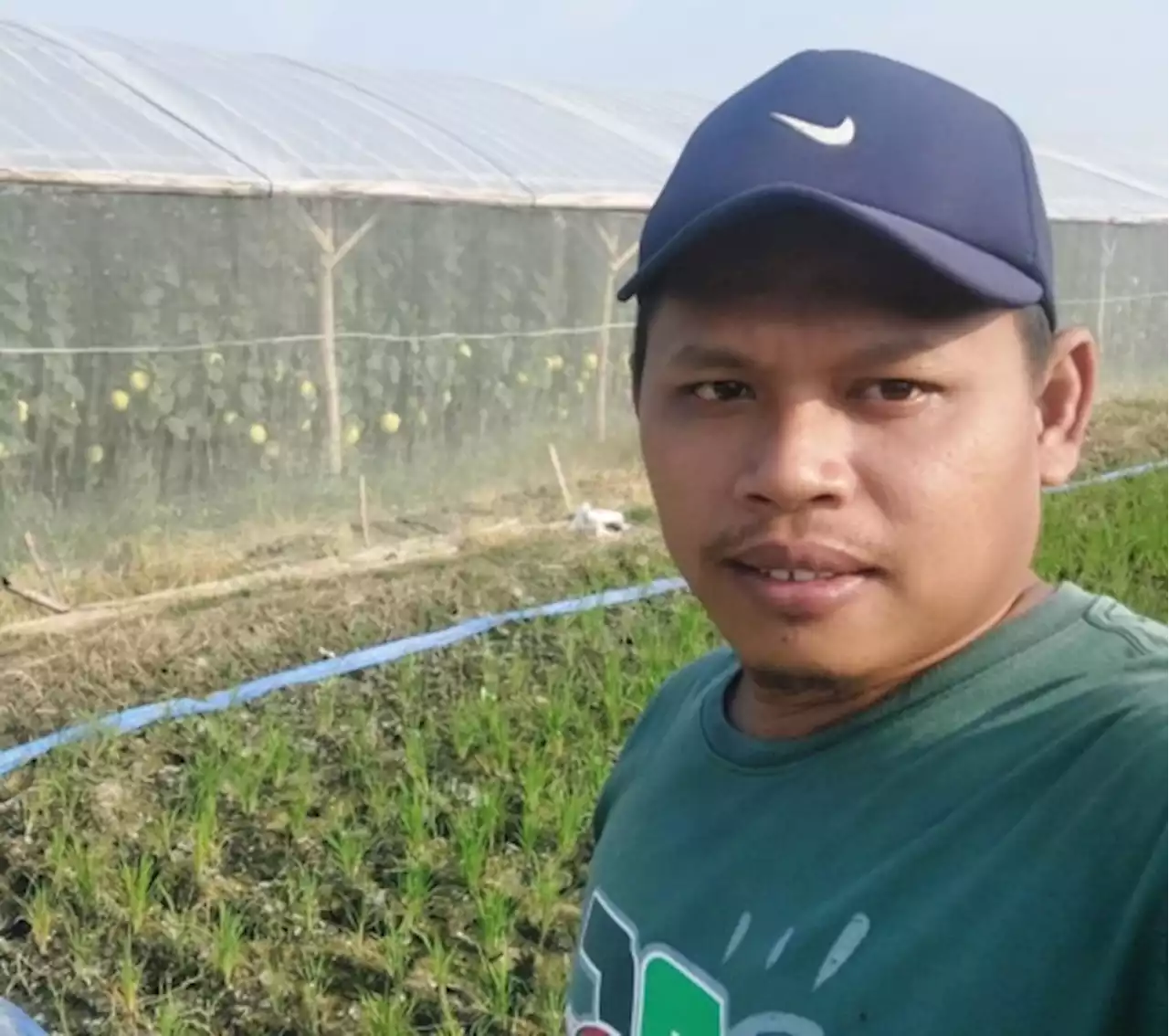 Mohammad Mahdi, Budidaya Melon Berkonsep Green House