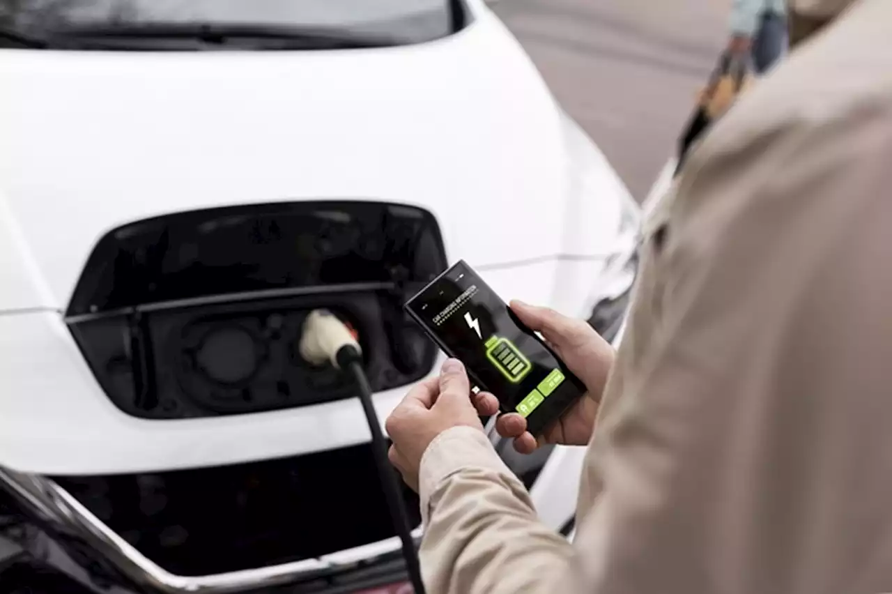 Mercadante quer limitar importação de carro elétrico sem imposto para estimular produção local