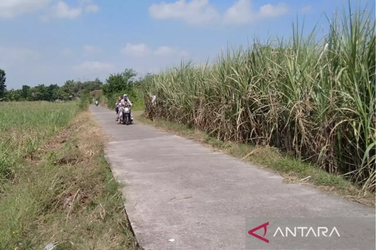 Penyaluran Dana Desa di Kudus, Jepara, & Demak Capai Rp 220,92 Miliar