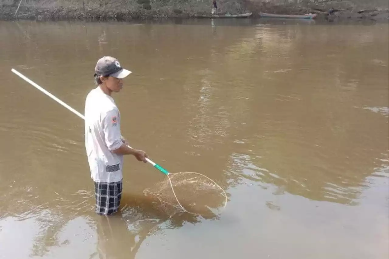 Sungai Bengawan Solo Tercemar, DLH Buka Suara, Ternyata