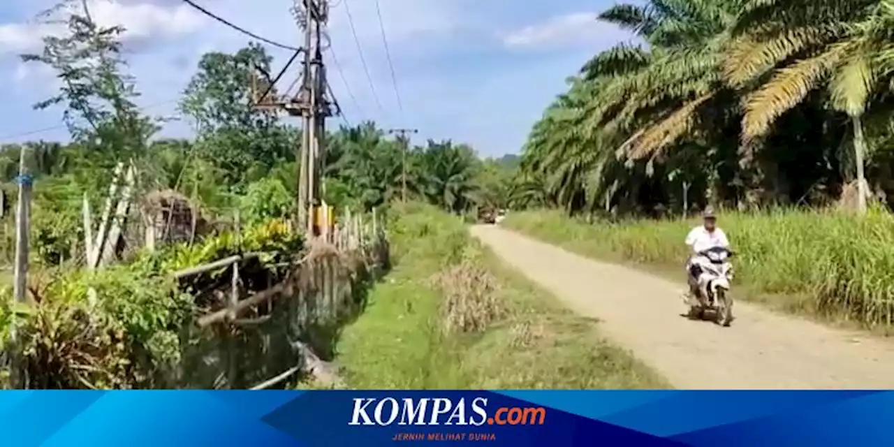 Cerita Kampung Tanpa Listrik PLN di Pulau Sebatik Kaltara, Numpang Nonton TV di Kampung Sebelah