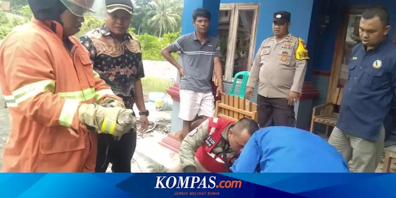 Meresahkan, Anak Buaya Muara Ditangkap Warga Cilacap