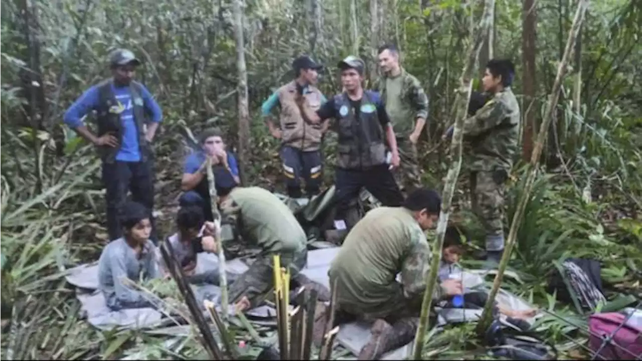 Keluarga Perebutkan Hak Asuh 4 Anak yang Selamat dari Kecelakaan Pesawat di Hutan Amazon