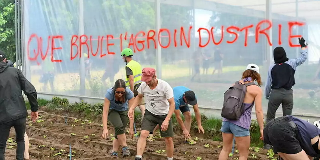 À Nantes, les Soulèvements de la terre saccagent l’écologie