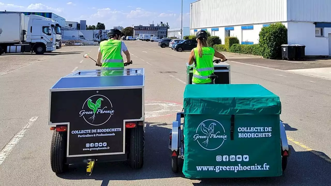 Green Phoenix étend sa collecte de biodéchets dans le Bas-Rhin