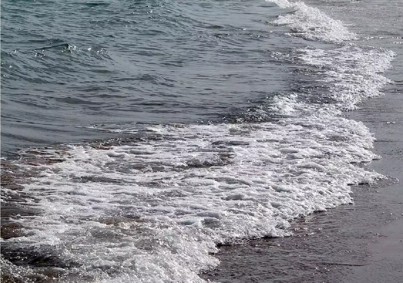 Des bandes rouges apparaissent dans l'eau sur le littoral du Nord : attention danger !