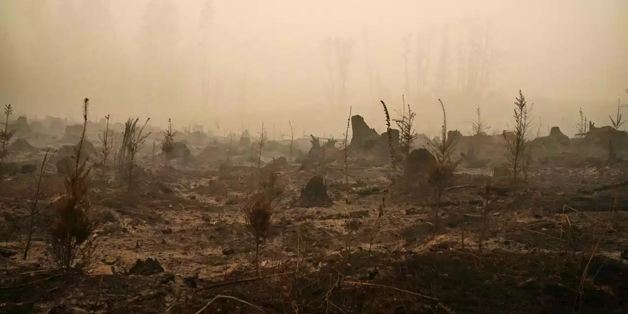 PacifiCorp could be on the hook for billions after jury verdict in devastating Oregon wildfires