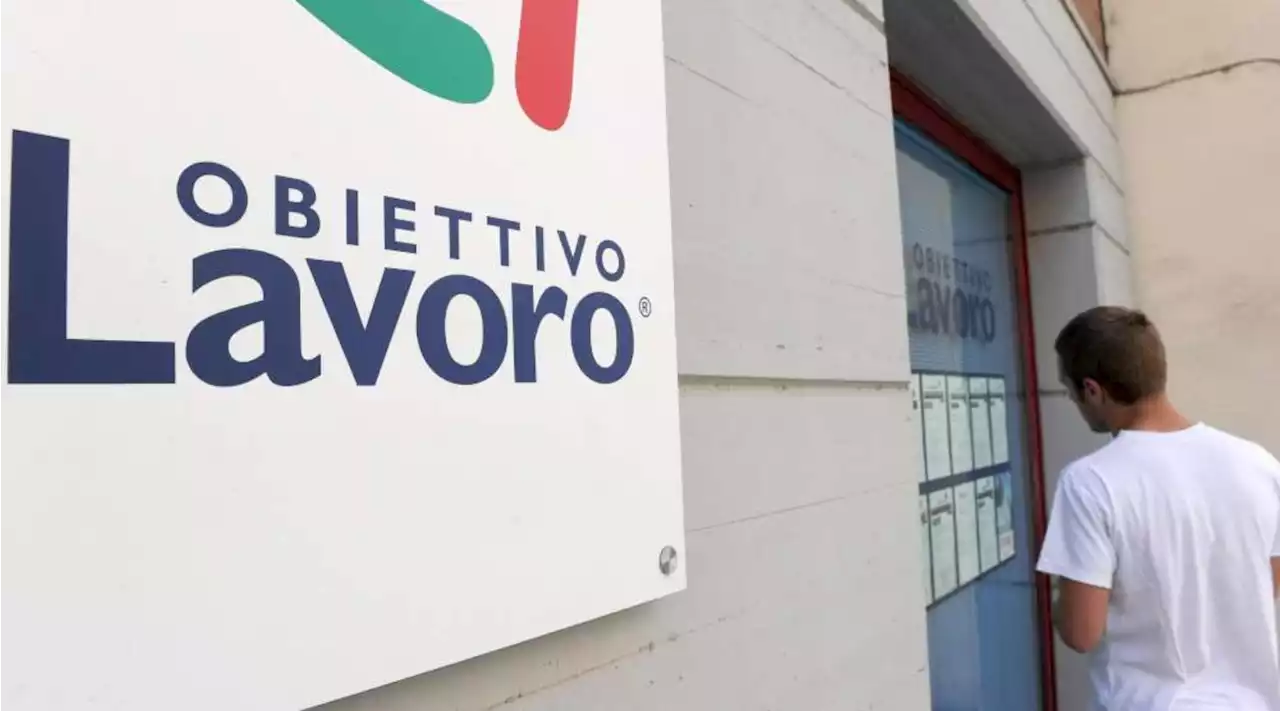 Lavoro, Istat: 'Nel primo trimestre 2023 mezzo milione di occupati in più'