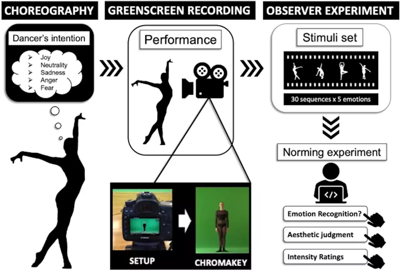 A 5-emotions stimuli set for emotion perception research with full-body dance movements - Scientific Reports