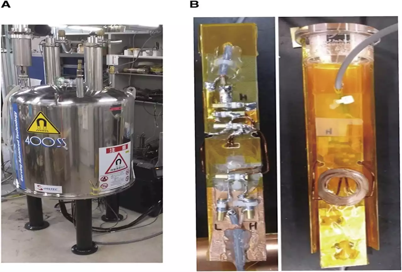 Sodium Magnetic Resonance Imaging Shows Impairment of the... : Kidney360