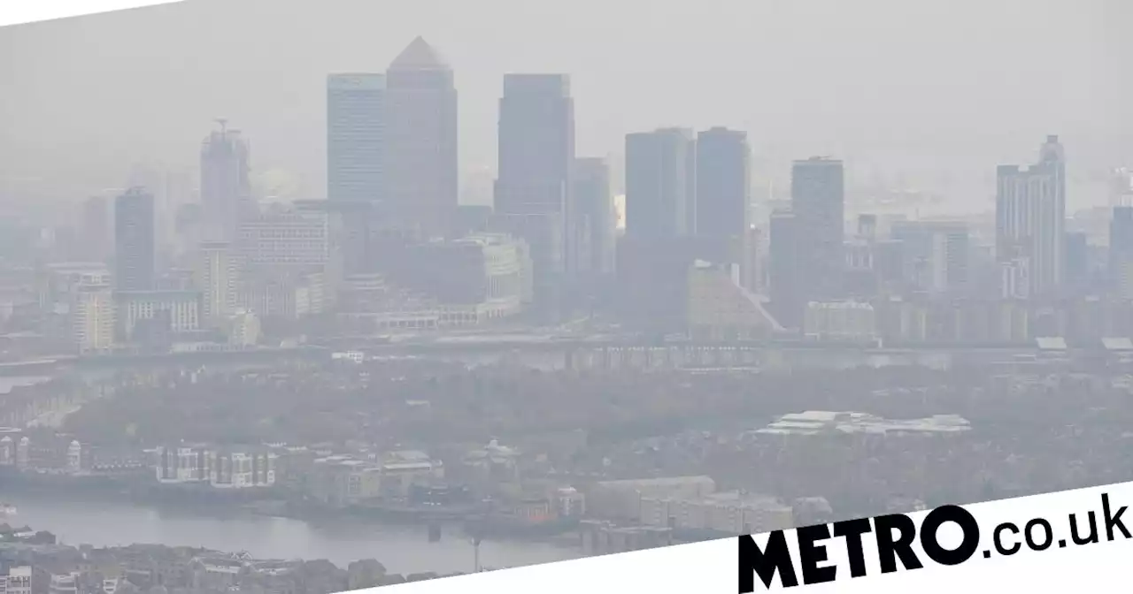 Air pollution alert triggered for London amid hot weather