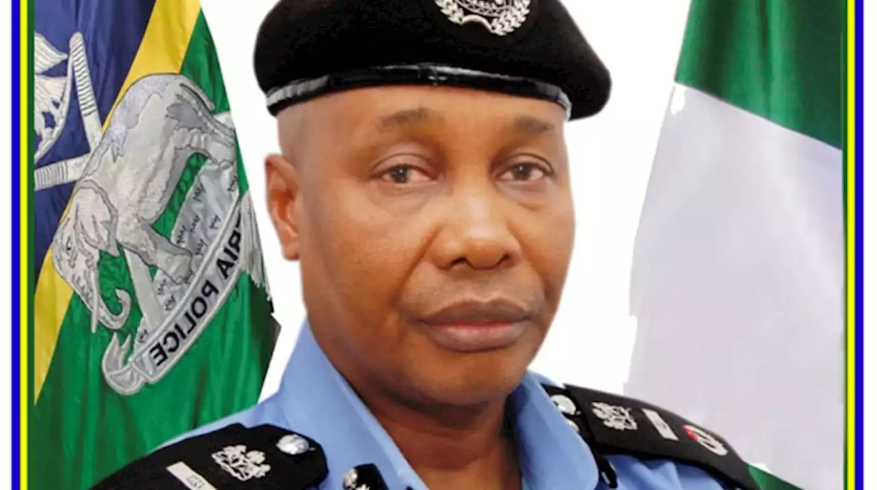 Court orders IG, AIG's arrest for contempt - Punch Newspapers