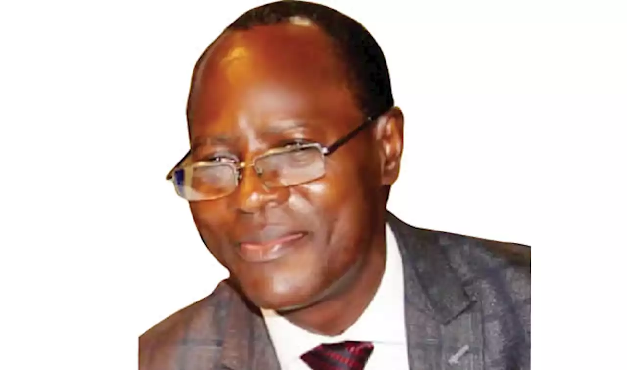 Credit-based economy will address Nigeria’s mounting debt – NICA CEO, Onalo