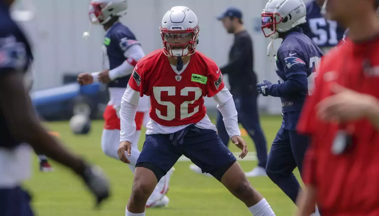 Patriots rookie Marte Mapu drawing rave reviews at minicamp