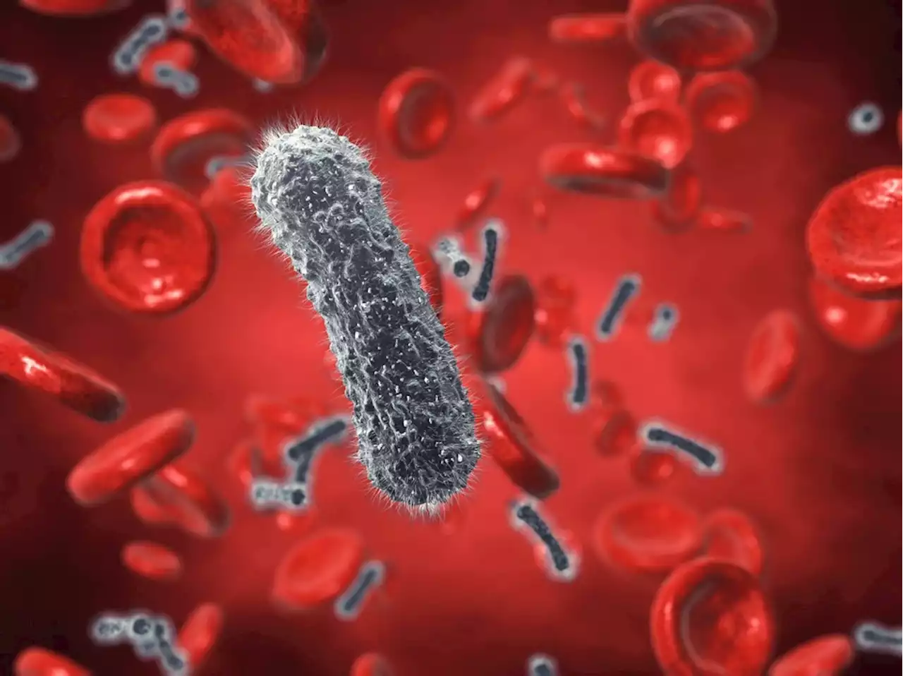 Blood culture vs. metagenomic next-generation sequencing for the detection of pathogenic microbes in patients with suspected bloodstream infections