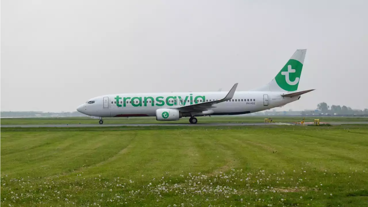 Inspectie grijpt in bij Transavia voor inzetten stagiaires als stewardess