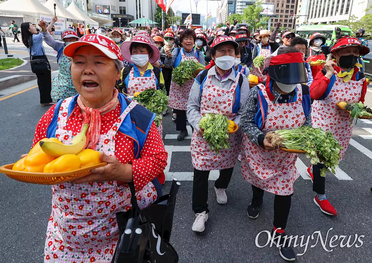 [오마이포토2023] 서울시의회 인근 '과일·채소' 항의 행진, 왜냐면