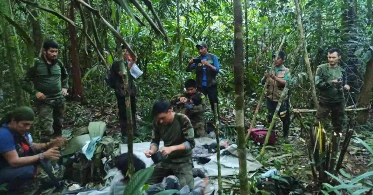 Children found alive in Colombian jungle 40 days after plane crash