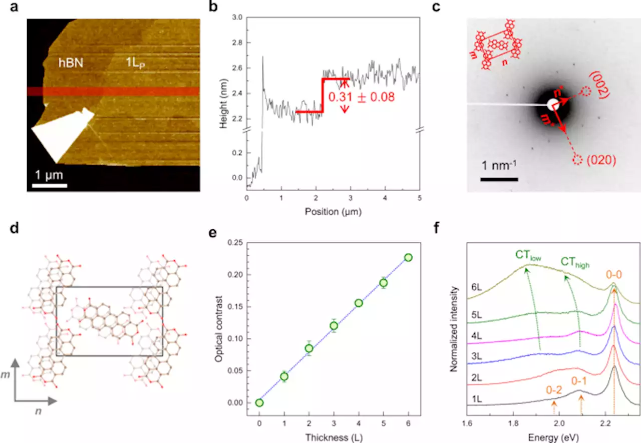 In-plane and out-of-plane excitonic coupling in 2D molecular crystals - Nature Communications