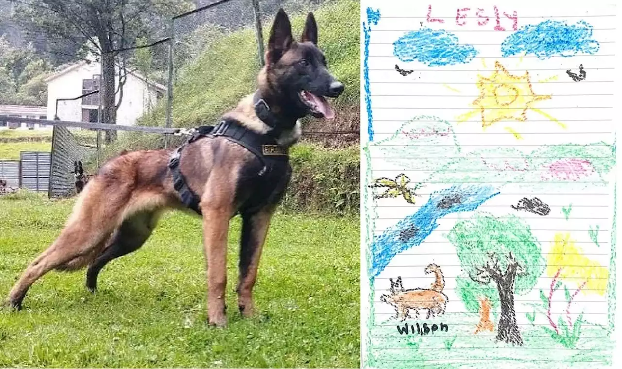 Crianças resgatadas na Colômbia desenham cachorro Wilson