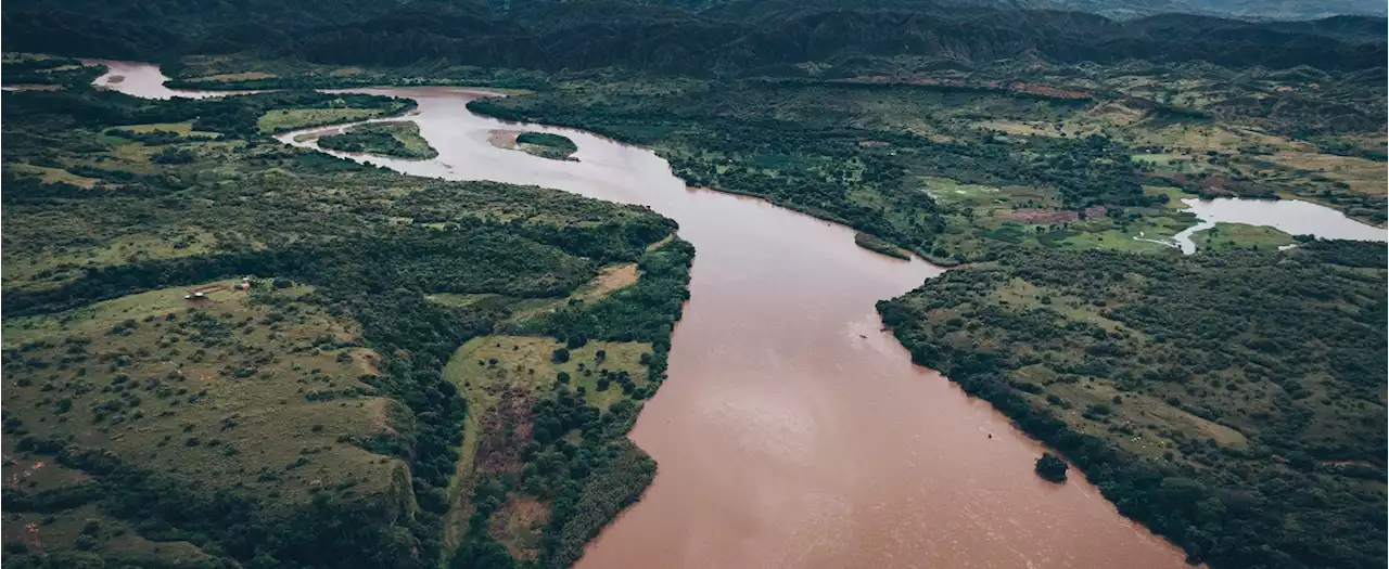 Armada encontró dos cuerpos sin vida flotando en río Magdalena en extrañas circunstancias - Pulzo