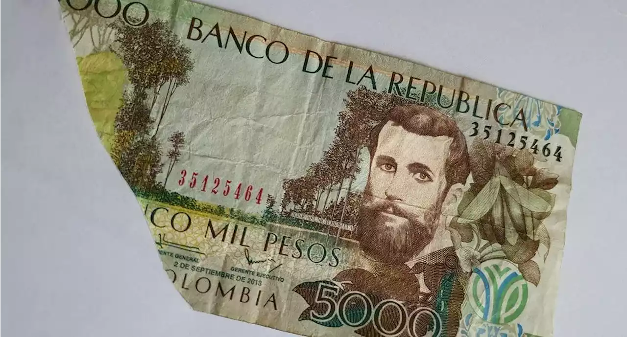 Banco le cambia los billetes dañados, así estén 'en uno o varios pedazos' - Pulzo