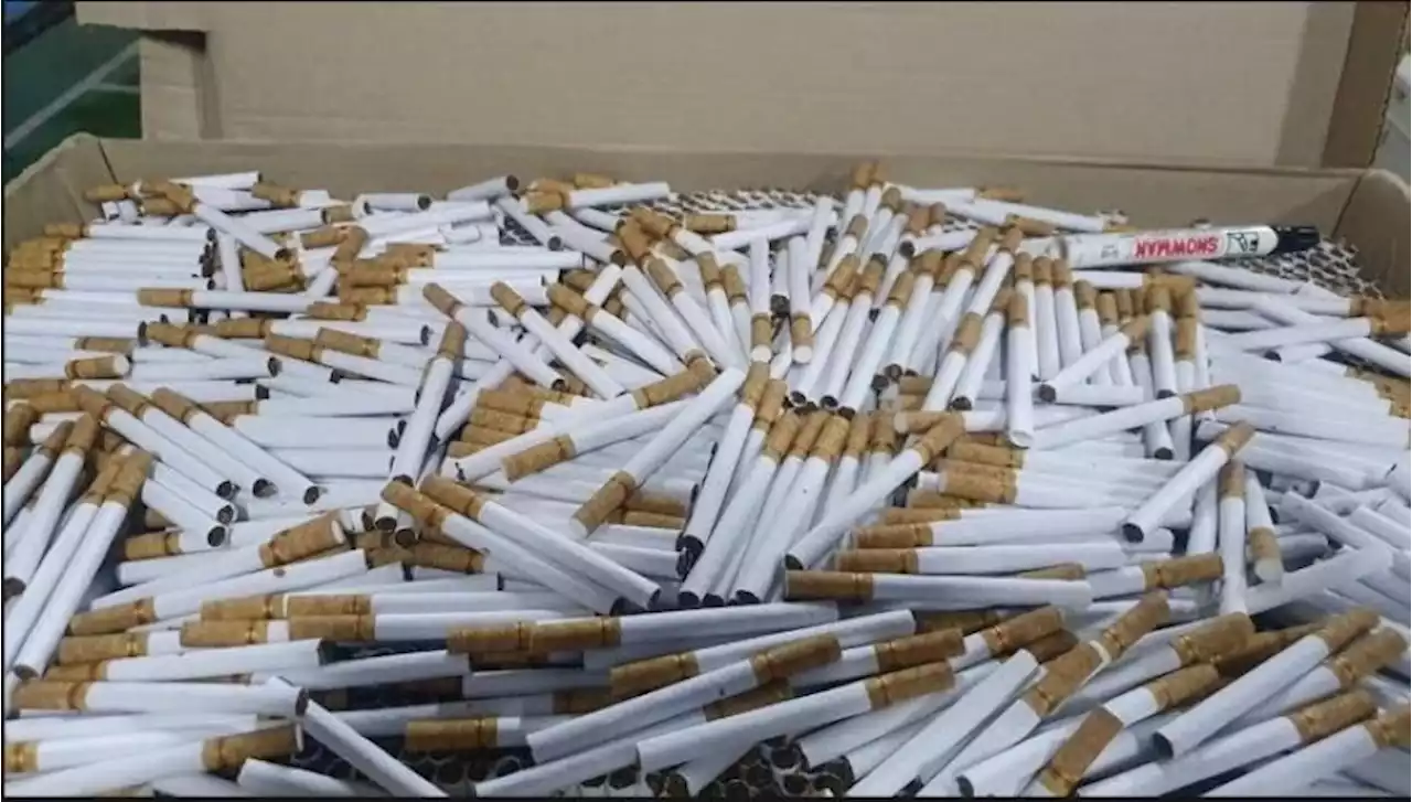 Bea Cukai Jambi Amankan Rokok Ilegal Saat Hendak Diedarkan | Republika Online