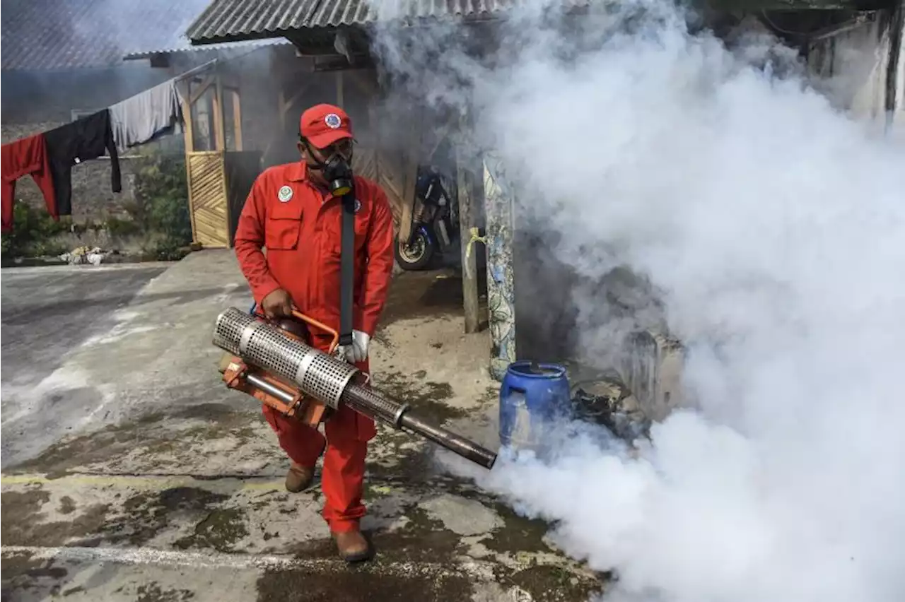 Kasus DBD di Kota Tasikmalaya Alami Penurunan Dibandingkan Tahun Lalu |Republika Online