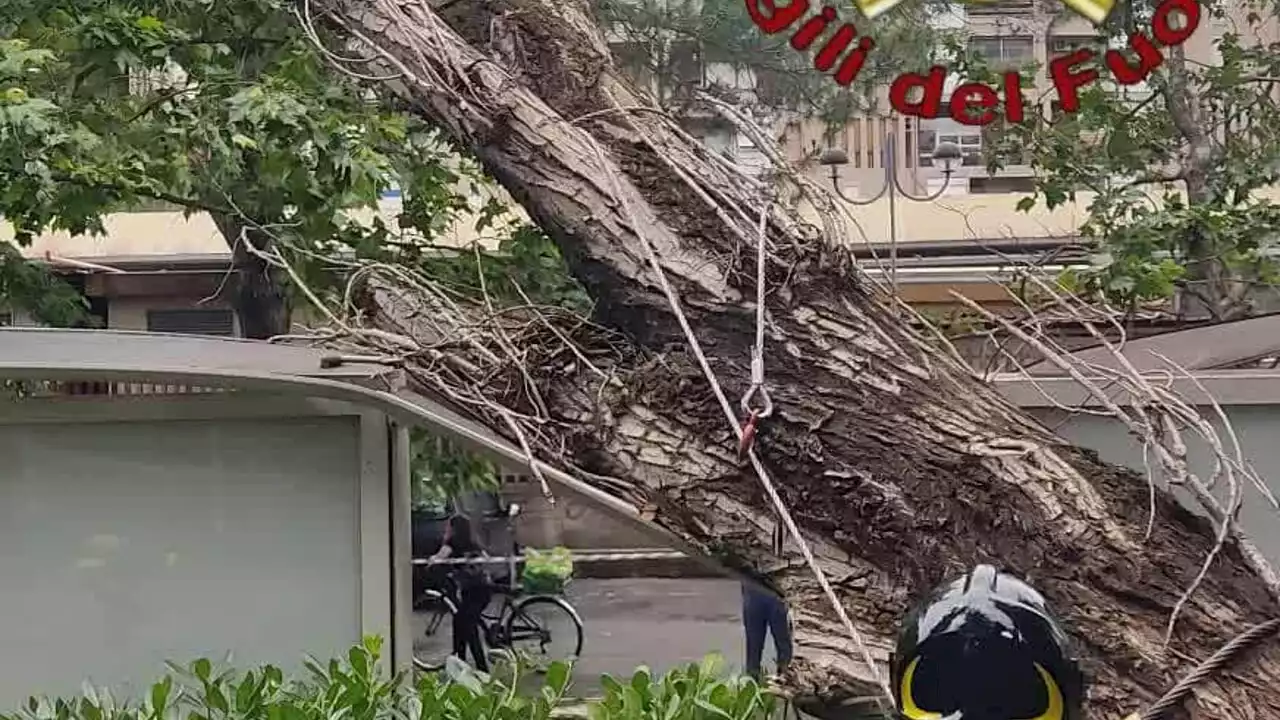 Maltempo a Roma: allagamenti e raffiche di vento. Tromba marina a Ostia