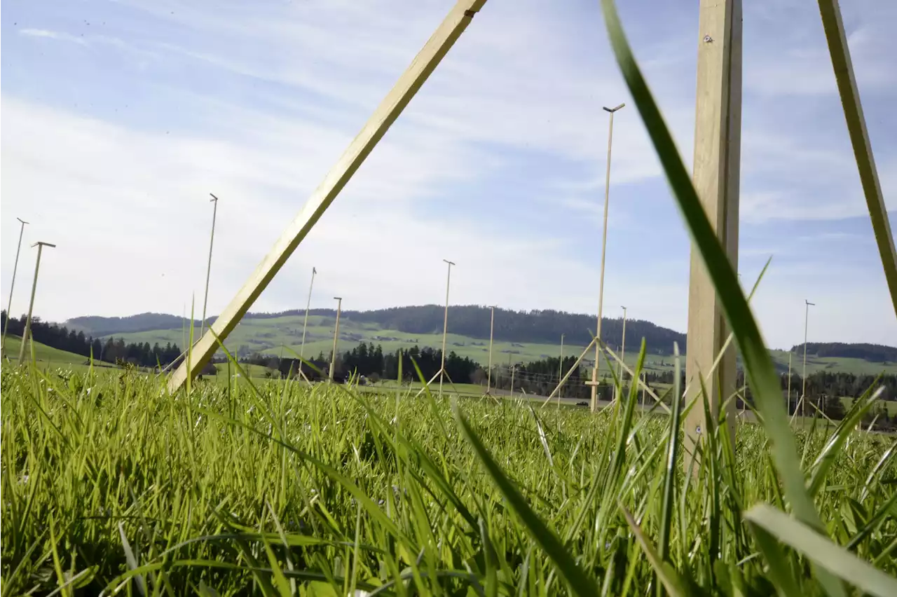 Diese Gemeinde muss Bauland auszonen - Schweizer Bauer