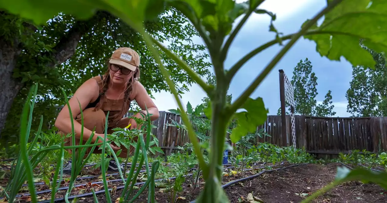 ‘Seeing new life’: Utah nonprofit helps seniors grow backyard gardens — and make friends