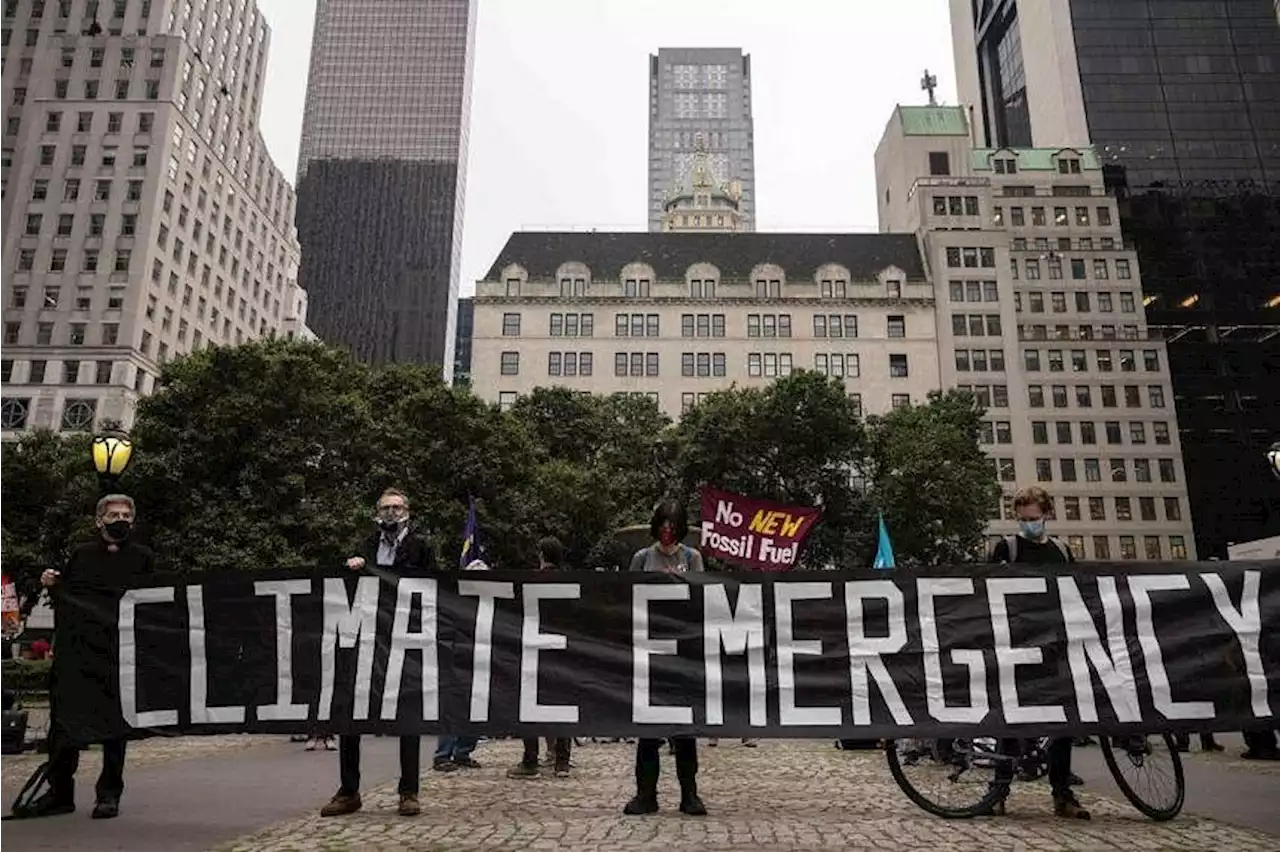 Investors in biggest climate pressure group don't like to pressure polluters