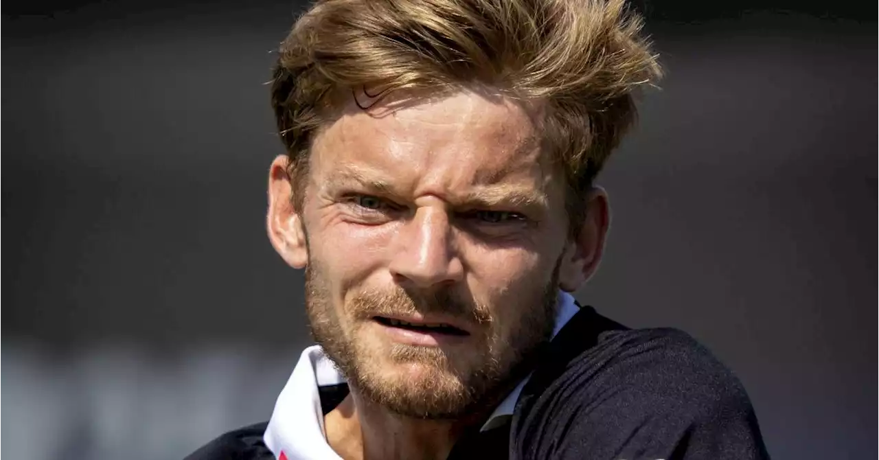 David Goffin battu au 1er tour à Rosmalen: un nouveau coup au moral