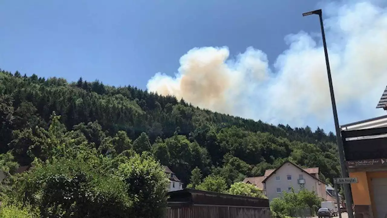 12 Hektar Fläche brennen zwischen Pirmasens und Rodalben