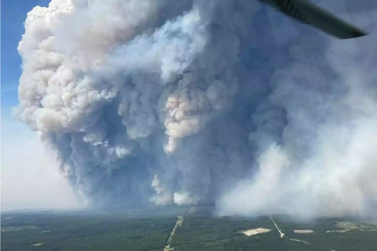 Canada is experiencing its ‘worst wildfire season of the 21st century’: Blair - Terrace Standard