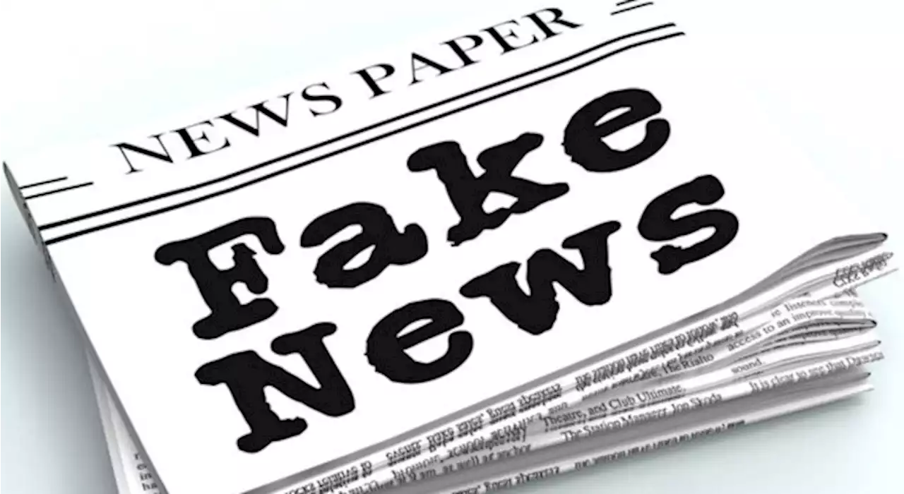 Four reasons you should reject fake news and how to identify it | TheCable