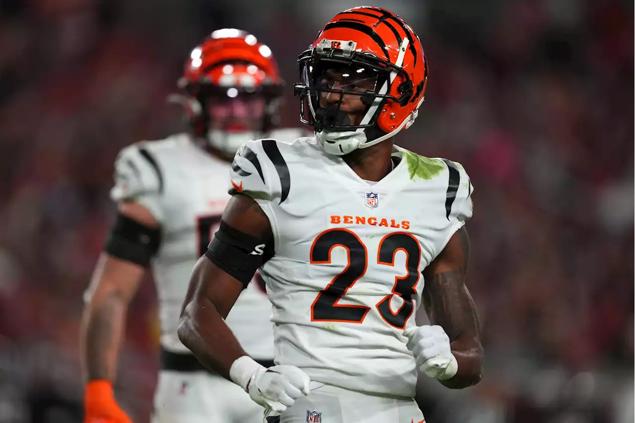 Bengals 2023 Breakout Player: Dax Hill