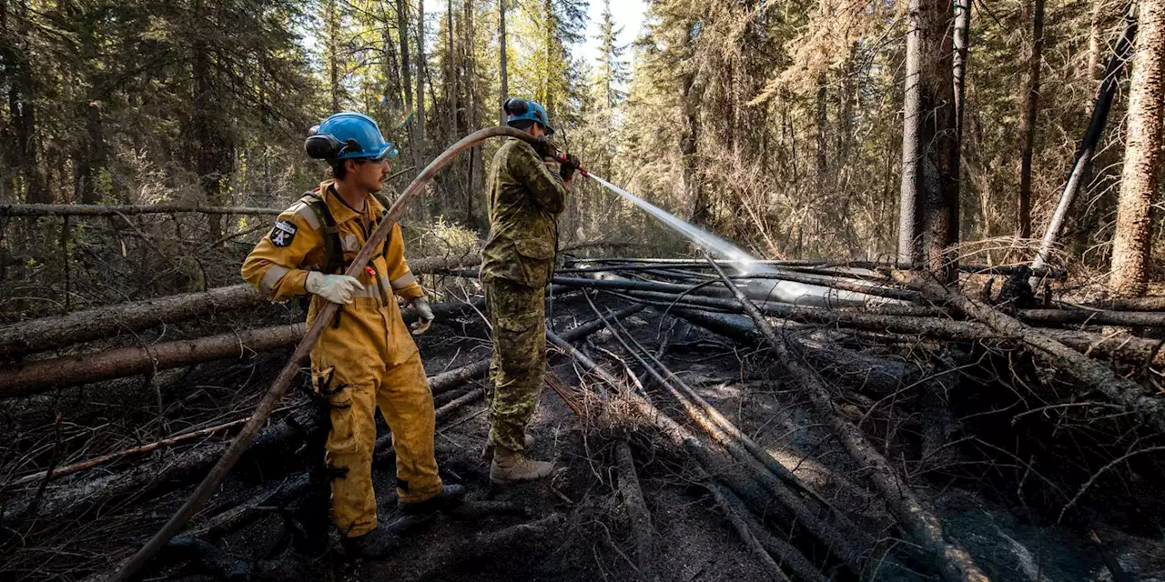 Changing climate, wildfire risk a chance for Canada to refit military