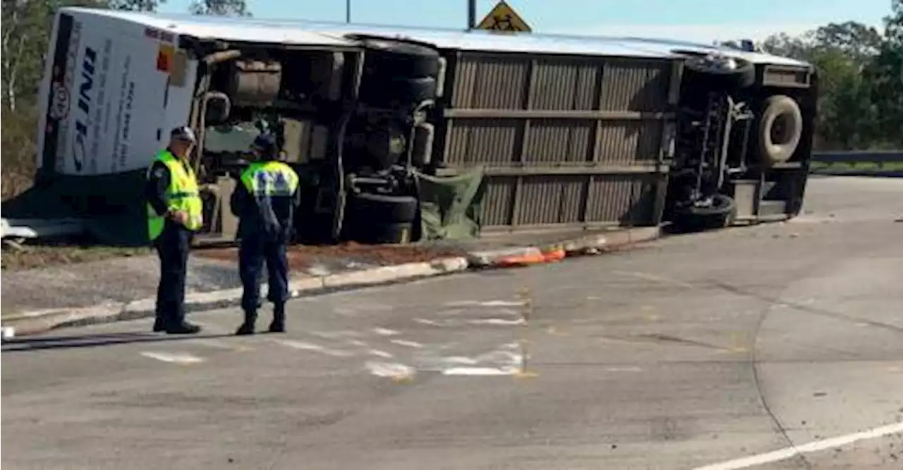 Driver to appear in court after deadly Australia bus crash