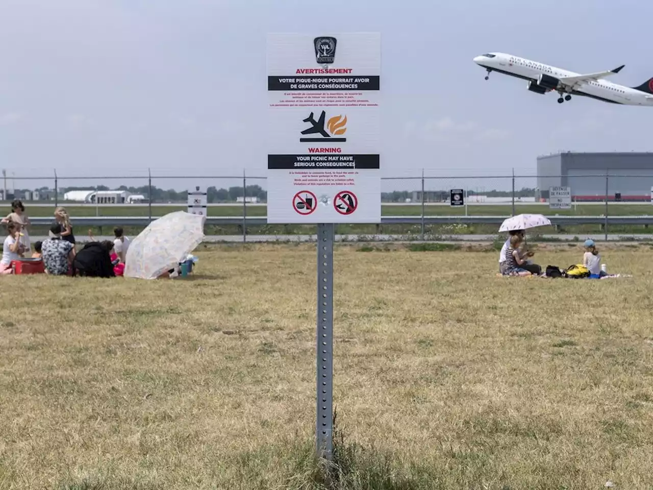 Picnics at Montreal's unique plane-spotting park risk bird strikes: Airport