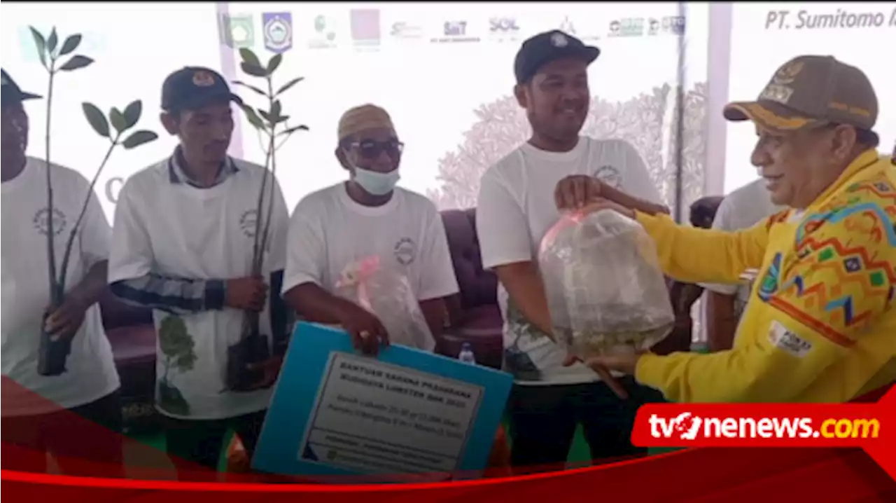 Kelompok Pembudidaya Ikan Pulau Kaung dapat Bantuan 8000 Ekor Benih Lobster