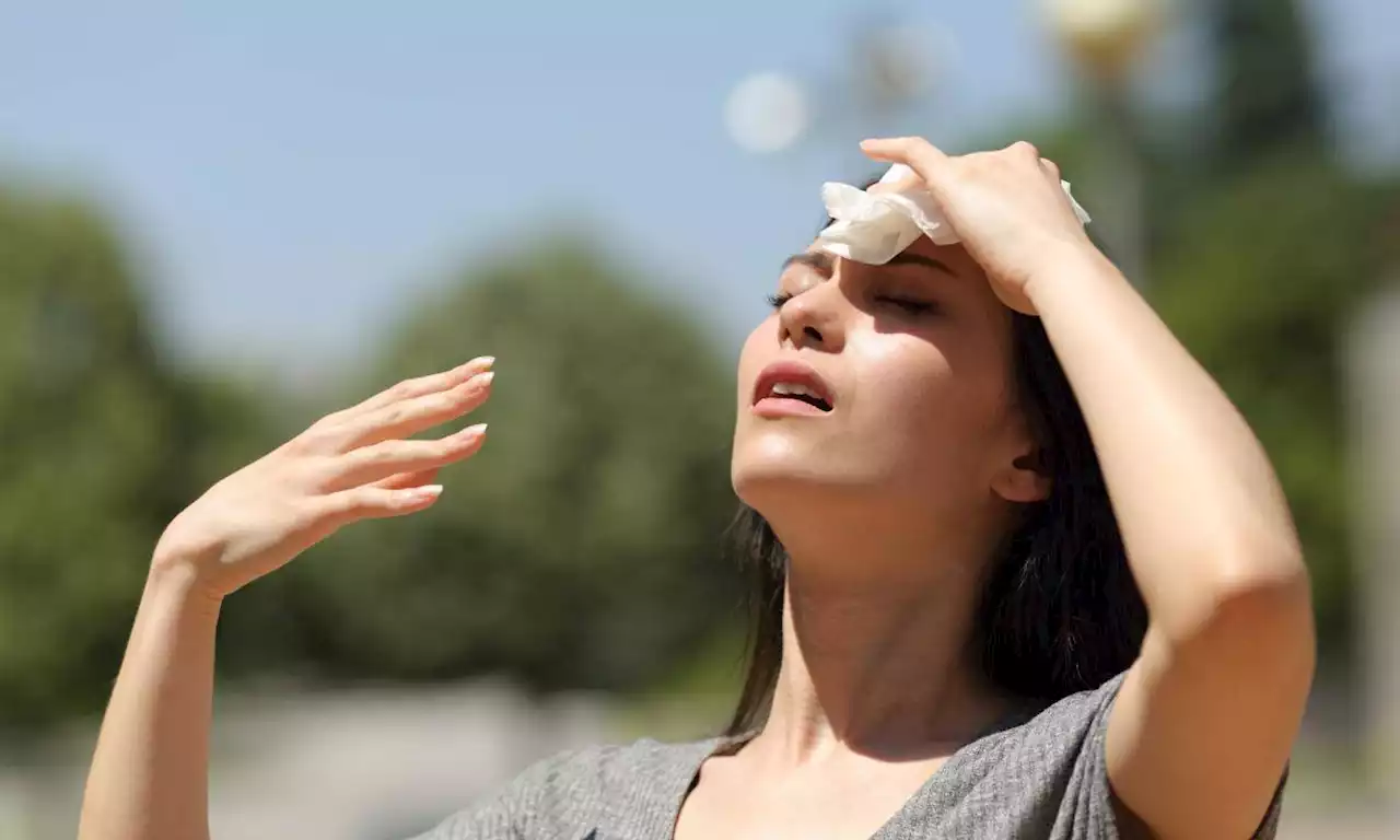 ¡Cuidado!... Estas son las enfermedades causadas por la Ola de Calor y cómo evitarlas