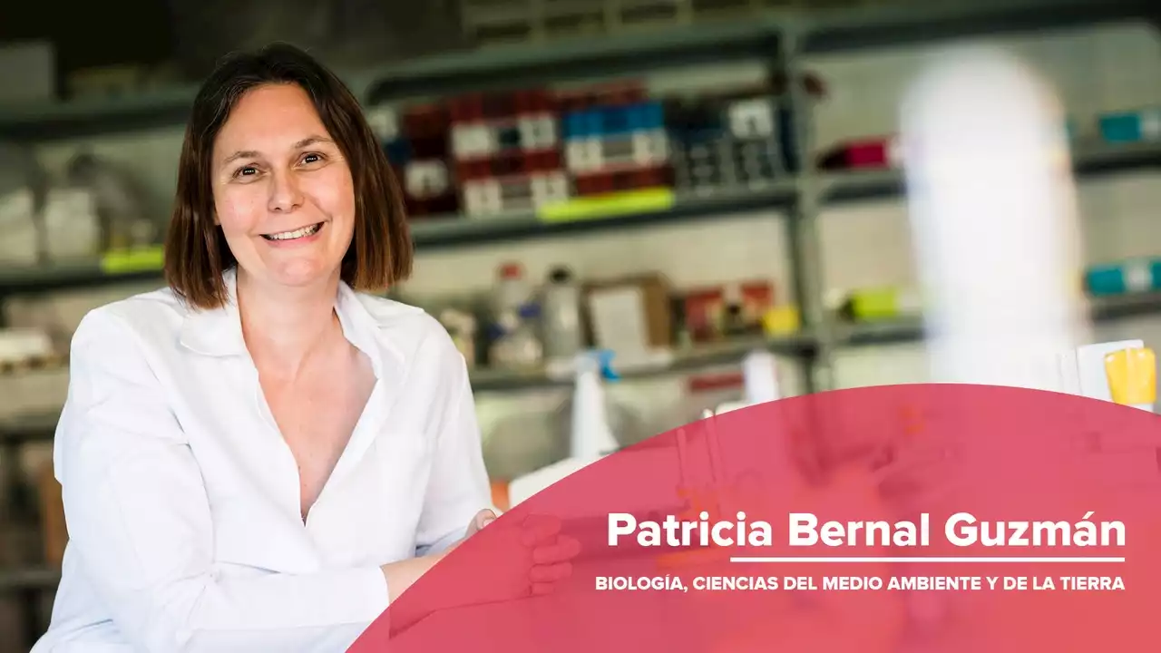 Una bacteria para eliminar el 'ébola del olivo', el proyecto de Patricia Bernal para acabar con este peligro para las plantas