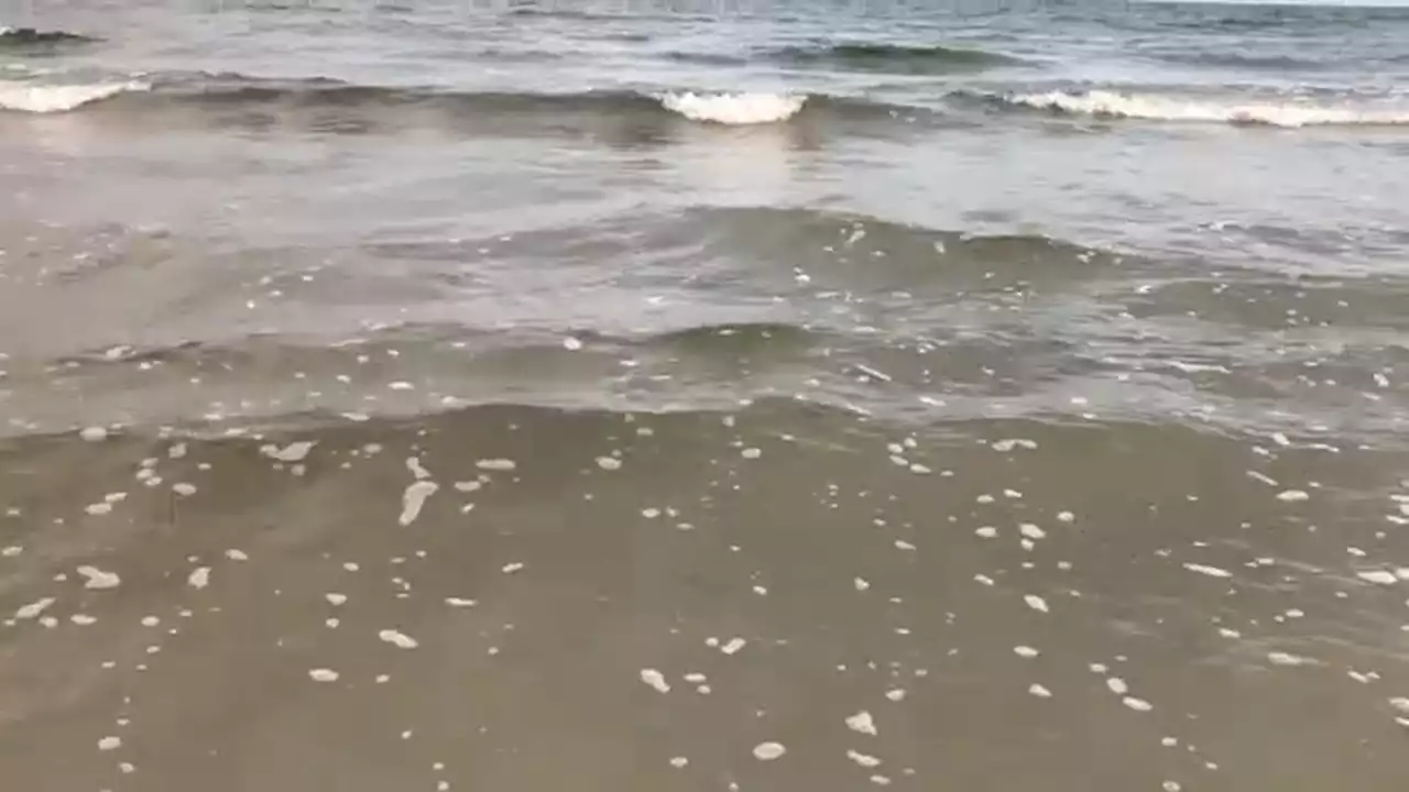 Father drowns after 2 sons float him back to shore at Beachside Village in Galveston