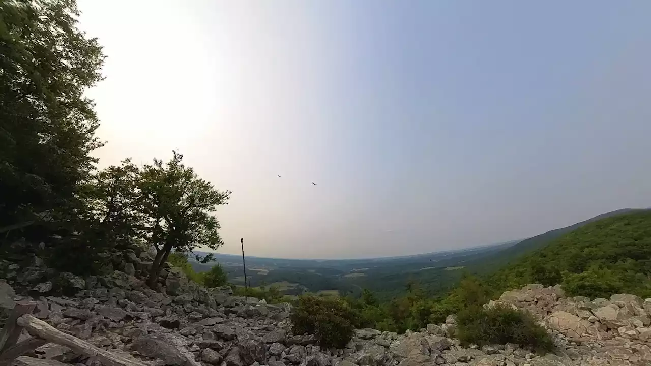 Hawk Mountain is a sanctuary for nature lovers and birds of prey